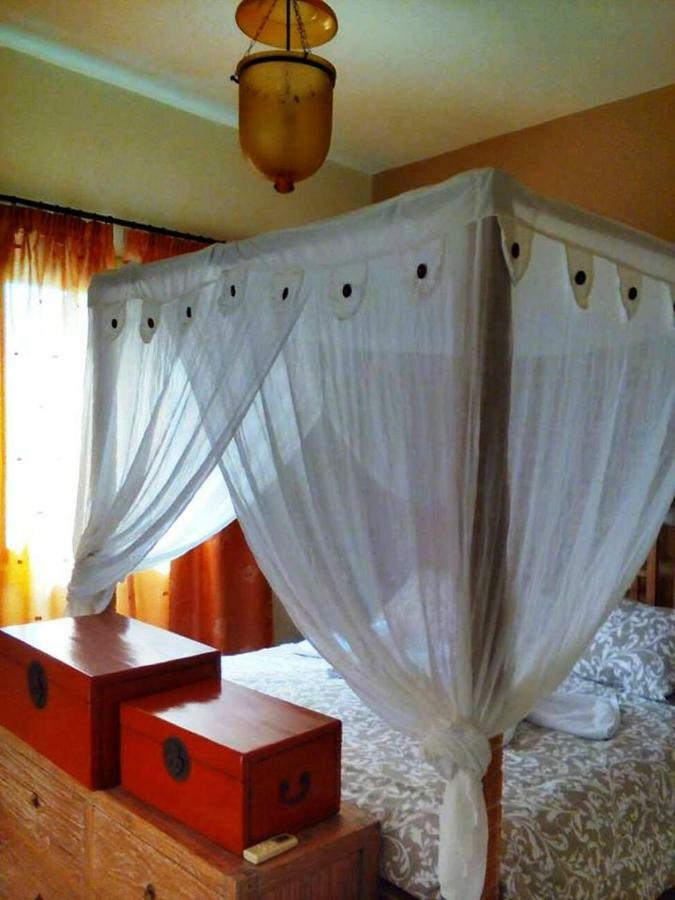 Apartament View House *
